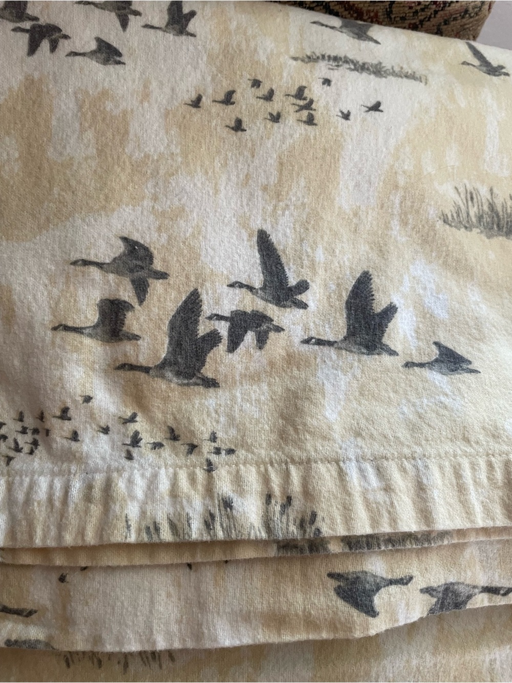 Eddie Bauer Cream and Gray Bird Print Throw